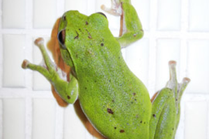 entry_img_375.png