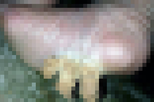 4d8a8a3e.png