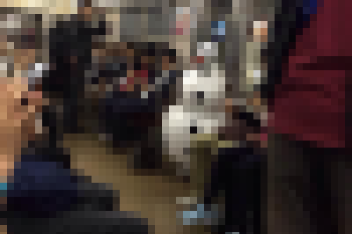 gaas252.png