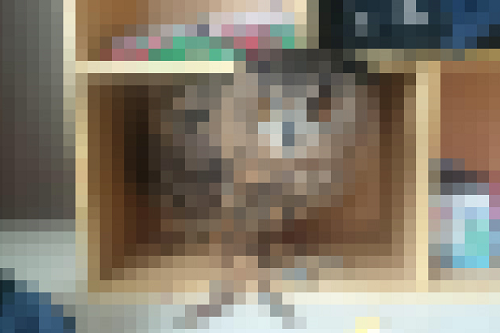 tY1NHSss.png