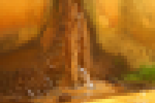 85a04378s.png