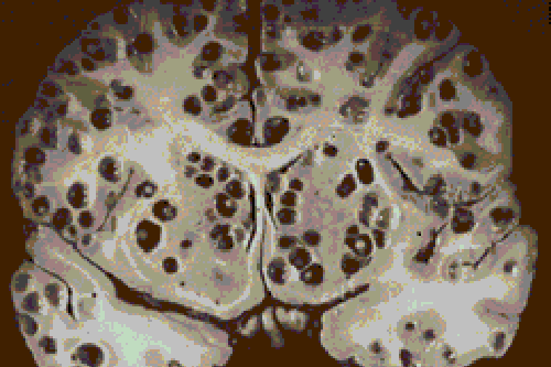 b67ce5b2bbd996bf.png