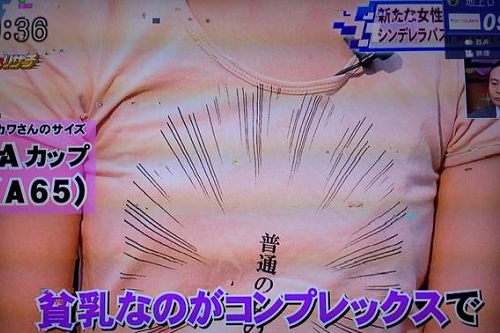 【衝撃】貧乳ブラのデザイナーで多摩美大生のハヤカワ五味さん(19)、ミスコンにエントリーするｗｗ（※画像あり）