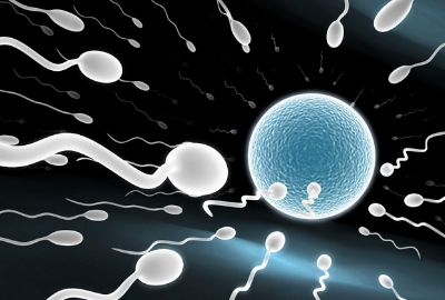 【閲覧注意】冷やした精子と常温で放置した精子を比較した結果wwww(※画像あり)