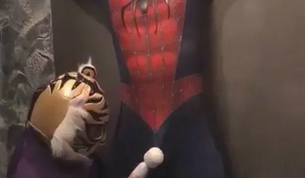 【動画あり】スパイダーマンさん、変態タイガーマスクに捕まってしまうｗｗｗｗ
