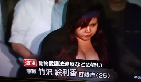 【画像あり】猫虐待で逮捕されたまんこ(25)のご尊顔ｗｗｗｗ