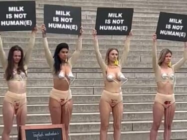【画像あり】まんさん、お●ぱいに搾乳機をつけ抗議
