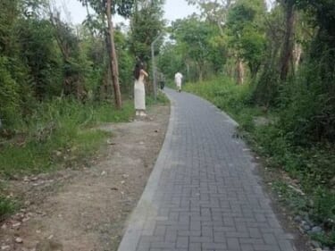 【画像あり】中国の売春公園がこちらｗｗｗｗｗ
