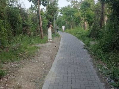 【画像あり】 中国の売春公園がこちらｗｗｗｗｗ