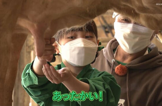【画像】 NHKさん、女児の手コキを放送してしまうｗｗｗｗｗ